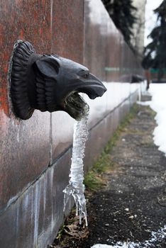 decorative let-off  as an animal metallic black head with ice at winter, architecture detail, fence of  the Moscow state university building