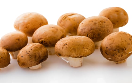 the natural raw champignons on a white background