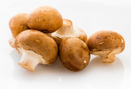 natural mushrooms champignons isolated on white background