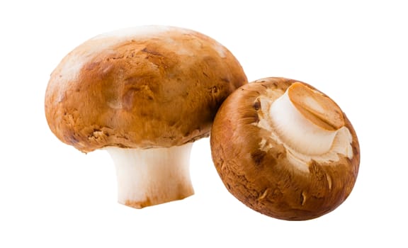 natural mushrooms champignons isolated on white background