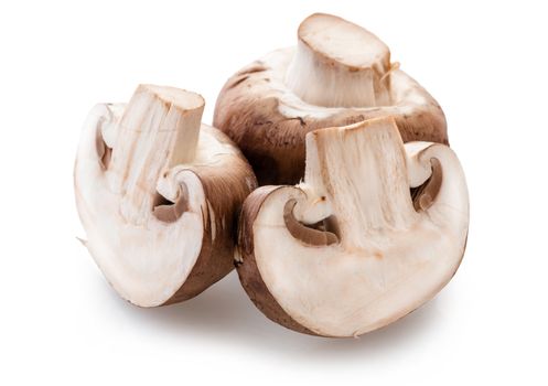 natural mushrooms champignons isolated on white background