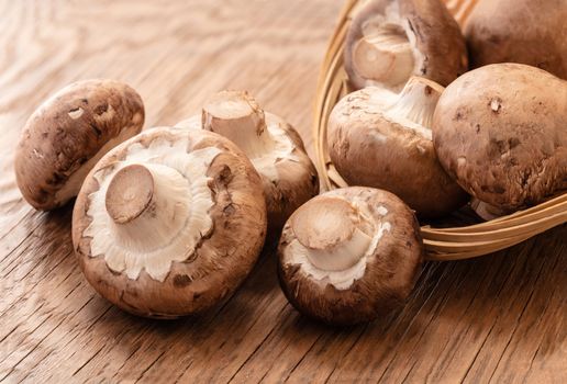 raw natural mushrooms mushrooms on wooden background