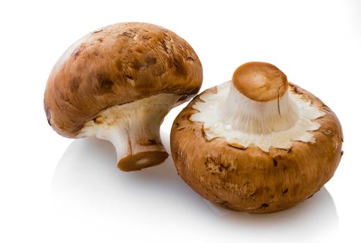 natural mushrooms champignons isolated on white background