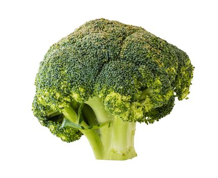 the broccoli close-up isolated on white background