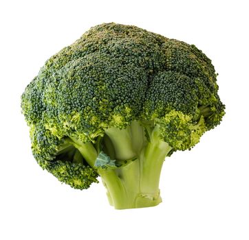 the broccoli close-up isolated on white background