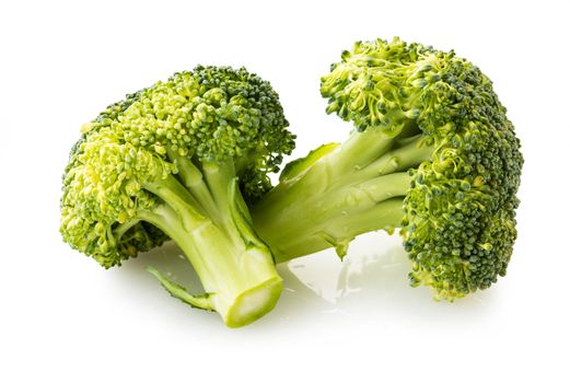 the broccoli close-up isolated on white background