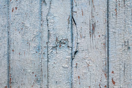 the door of planks, chipped old paint, which has long been under the influence of various climatic conditions