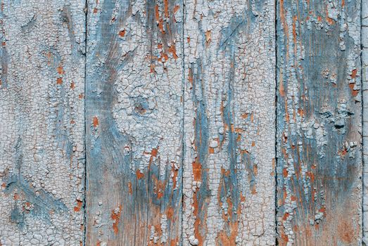 the door of planks, chipped old paint, which has long been under the influence of various climatic conditions