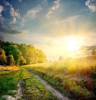 Sunbeams and country road in the autumn