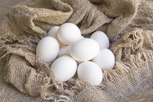 close-up white eggs on a Brown canvas