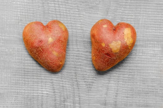 Two pink potato similar to heart, lying on a gray wooden background