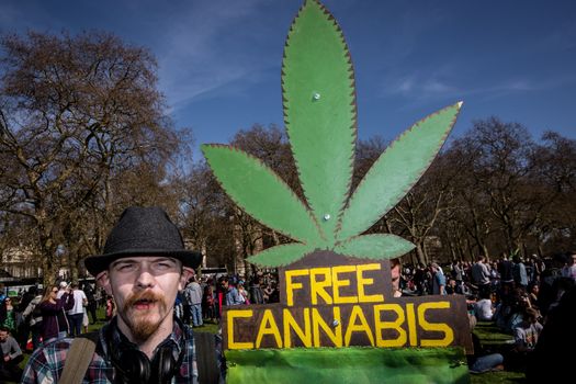 UNITED-KINGDOM, London: A man holds a sign reading Free Cannabis as hundreds of pro-cannabis supporters gather in Hyde Park, in London for 4/20 day, a giant annual smoke-in  on April 20, 2016. 