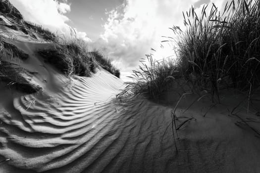 Photograph of sand dunes in Denmark