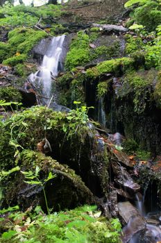 Waterfall in the Carpathian autumn forest. Water with motion blur.