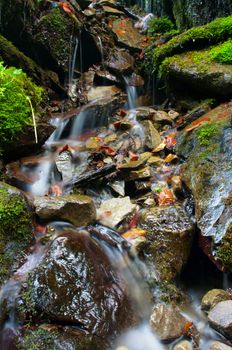 Waterfall in the Carpathian autumn forest. Water with motion blur.