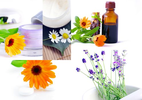 Various homeopathy related images in a collage