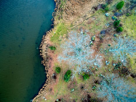 Shoreline from above