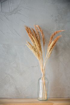 golden dry barley in glass bottle