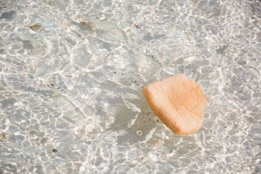 feeding fish in the sea with sliced bread