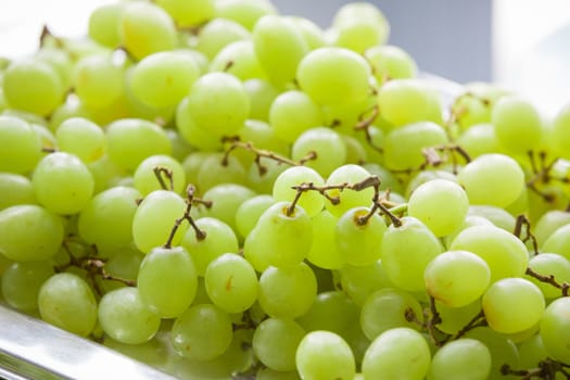 close up of white grape in tray