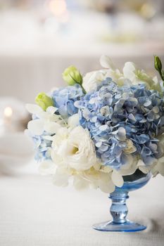 white and blue flower in blue vase