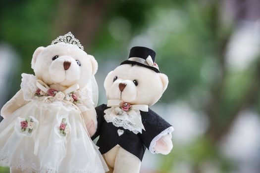 cute couple bear in the wedding ceremony