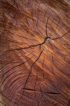 close up of a wood texture