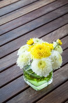 daisy flower in the vase