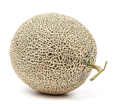 single melon on white background