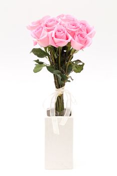 pink rose in white vase on white background