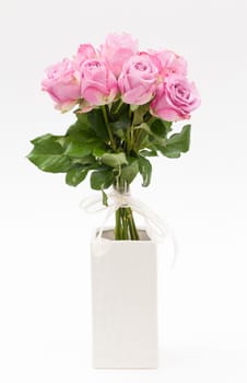 violet rose in white vase