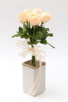 rose in vase on white background