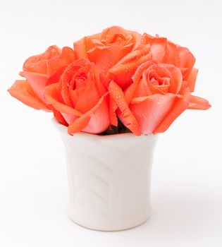 orange rose in white vase