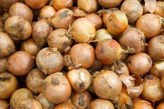 close up a lot of onion