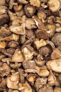 close up dry shitake mushroom