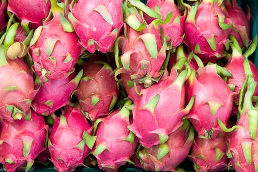 close up fresh dragon fruit