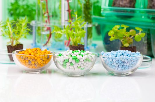 Different Mineral fertilizers in a chemical glass cup, on the white background