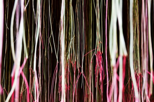 Group of plant's root texture.