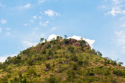Tree on hill with blue sky in background.