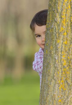 Portrait of a little girl hiding behind a tree