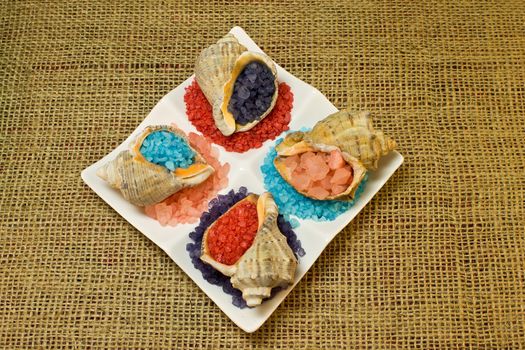 Bath salt in the four kinds of sea shells stacked on a white plate on a background of a sacking