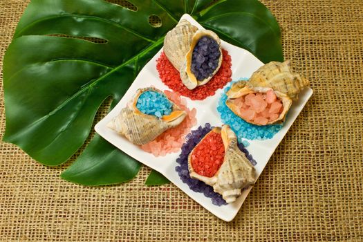 Bath salt in the four kinds of sea shells stacked on a white plate on a background of a sacking