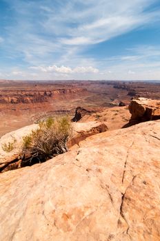 Large red rock canyons in the summer