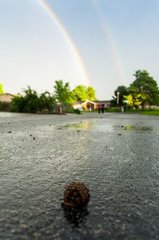 A pinecone backed by a double rainbow above a small home