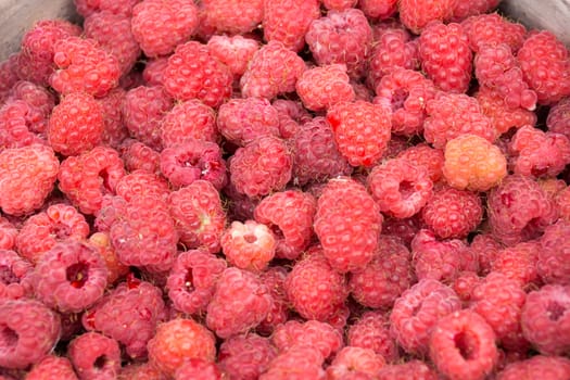 The photograph shows a bowl with raspberries