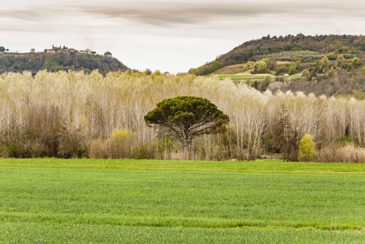 Landscape and countryside in Chianti, Tuscany, Italy