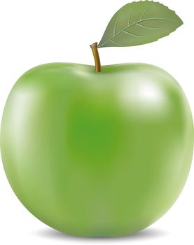 Vector illustration of detailed big green apple isolated on white