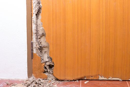 the wood door with termites damage