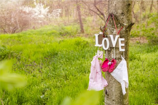 pink baby shoes and dress hanging from a love text on the tree