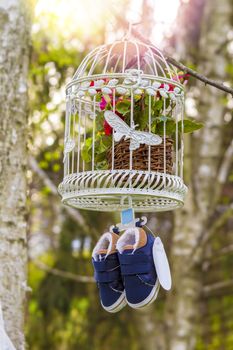 blue baby shoes hanging from a cage and branch